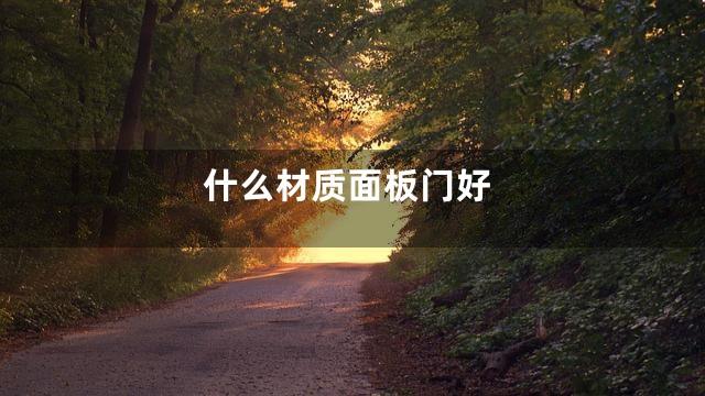 什么材质面板门好
