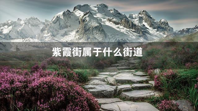 紫霞街属于什么街道