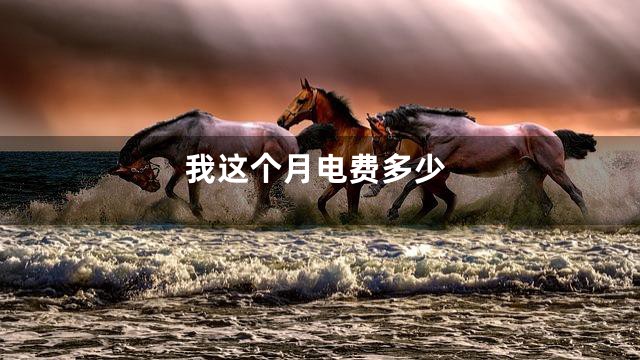 我这个月电费多少