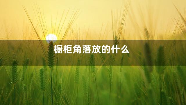 橱柜角落放的什么