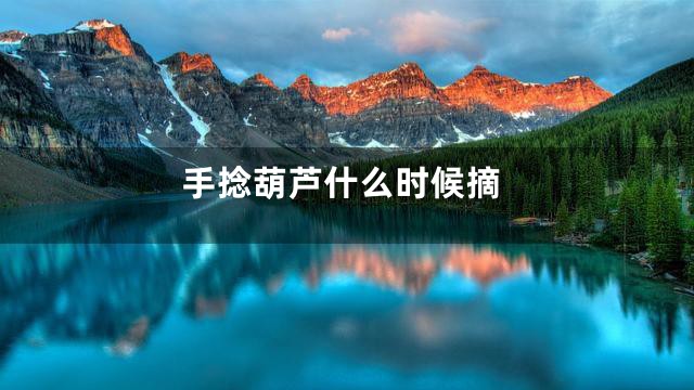 手捻葫芦什么时候摘