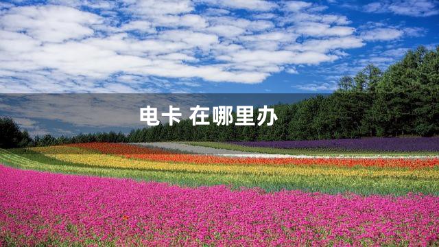 电卡 在哪里办