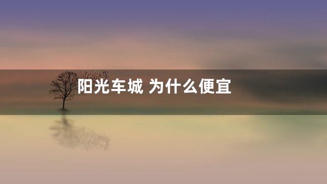 阳光车城 为什么便宜