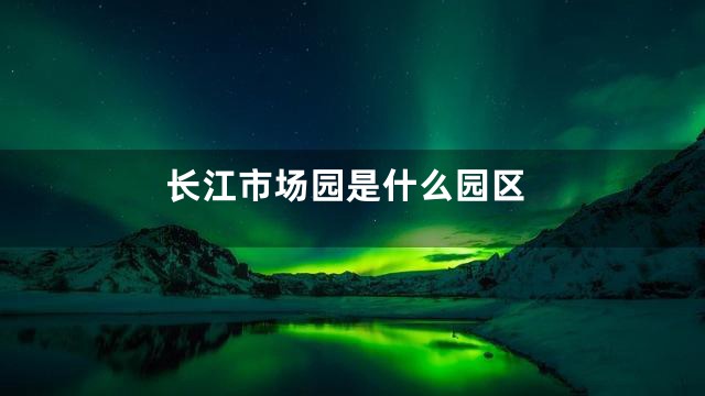 长江市场园是什么园区