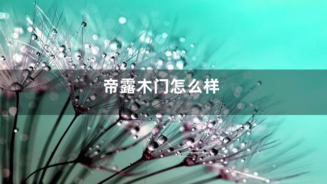 帝露木门怎么样