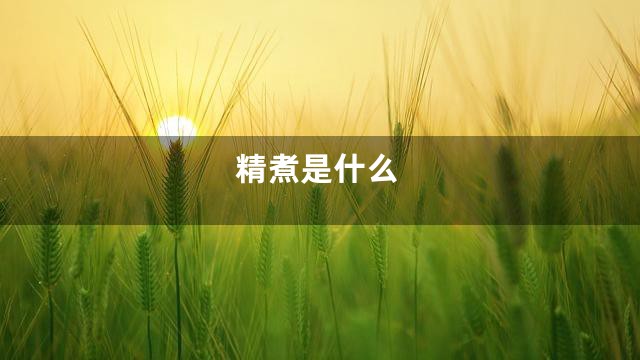 精煮是什么
