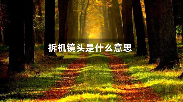 拆机镜头是什么意思