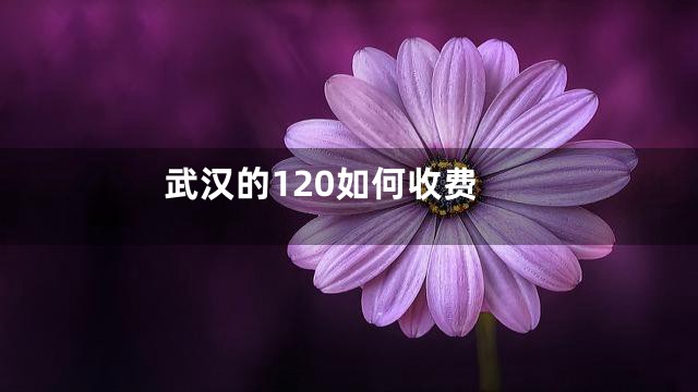 武汉的120如何收费