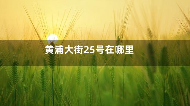 黄浦大街25号在哪里