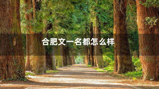 合肥文一名都怎么样