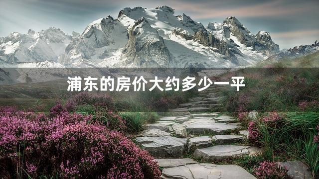 浦东的房价大约多少一平
