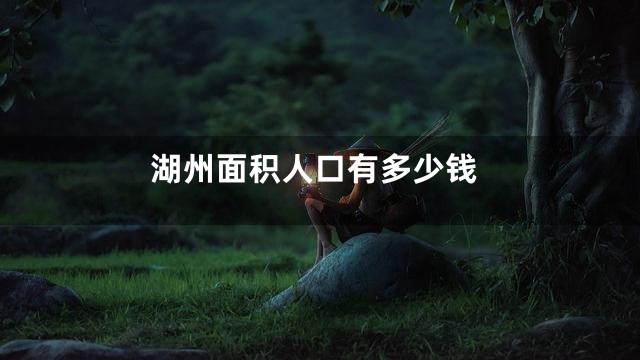 湖州面积人口有多少钱