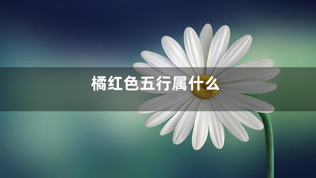 橘红色五行属什么