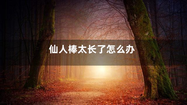 仙人棒太长了怎么办