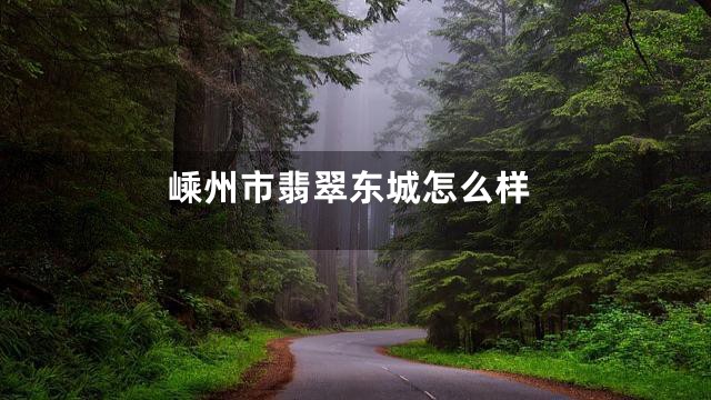 嵊州市翡翠东城怎么样