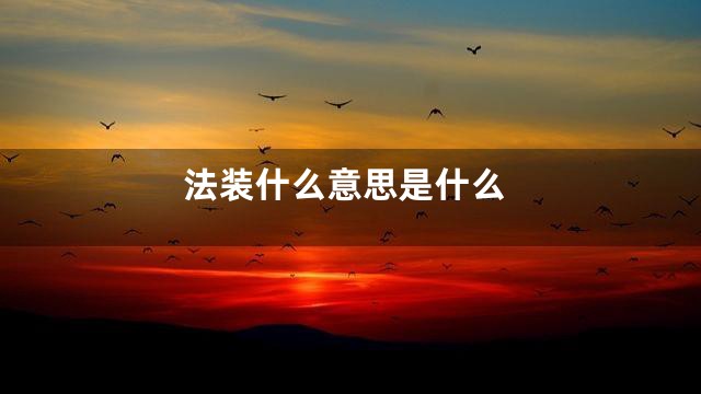 法装什么意思是什么