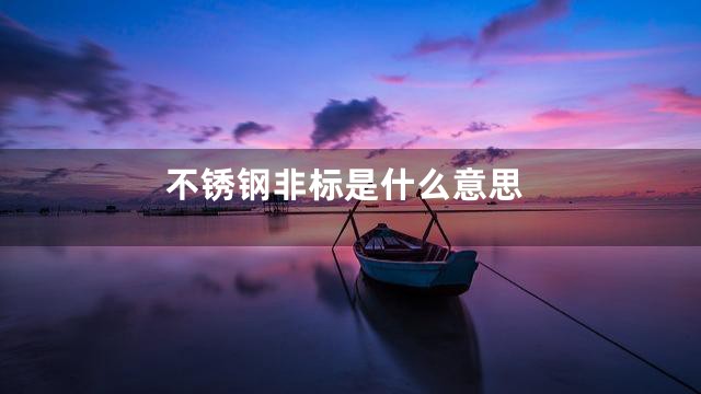 不锈钢非标是什么意思