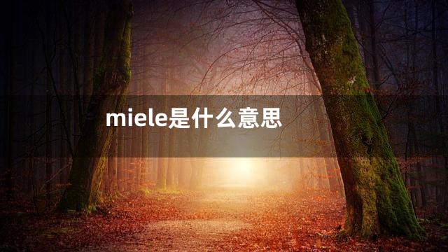 miele是什么意思