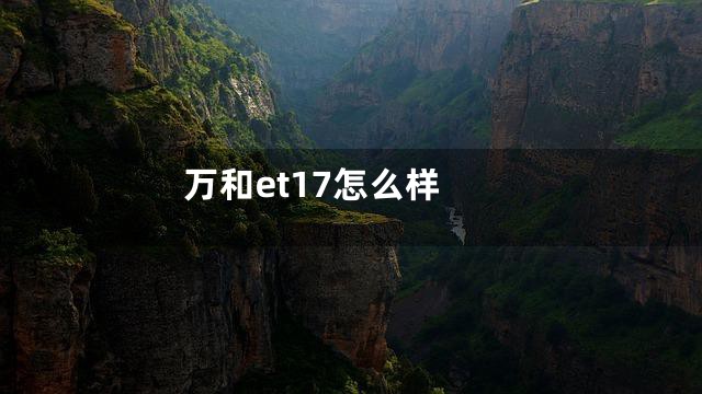万和et17怎么样
