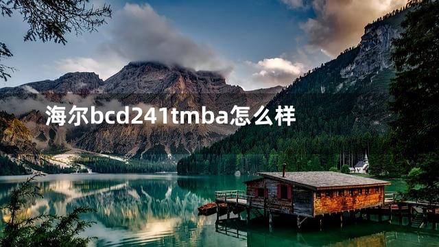 海尔bcd241tmba怎么样