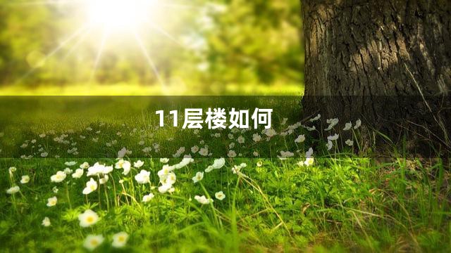 11层楼如何