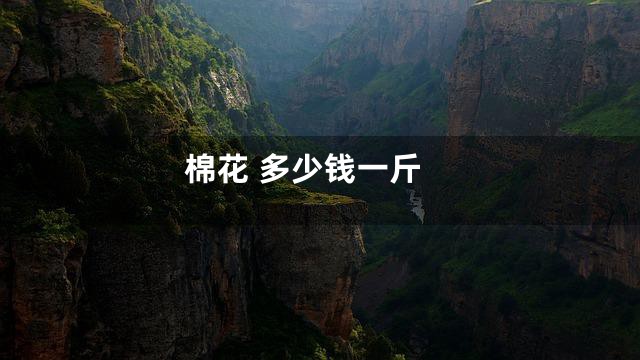 棉花 多少钱一斤