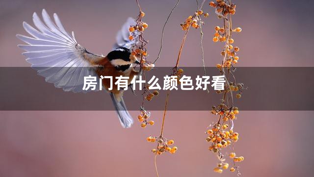 房门有什么颜色好看