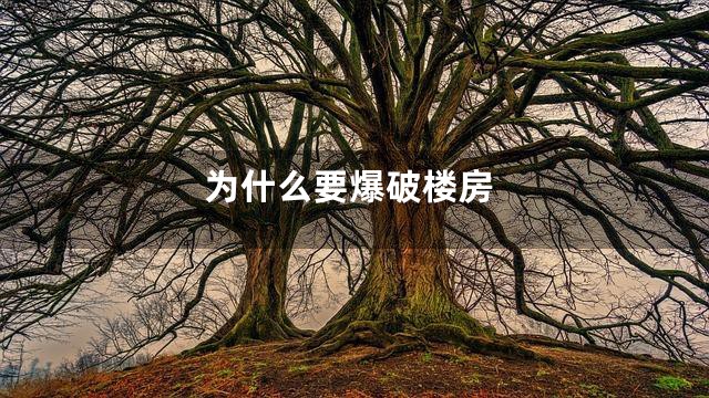 为什么要爆破楼房