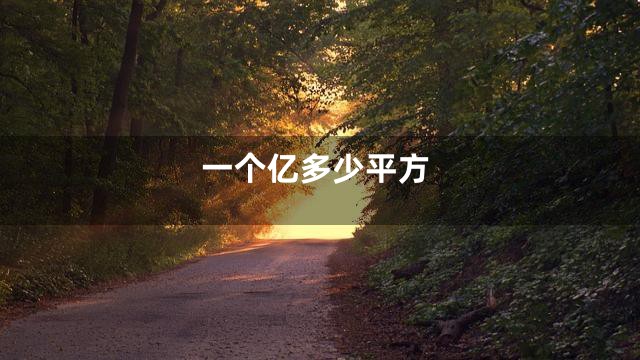 一个亿多少平方