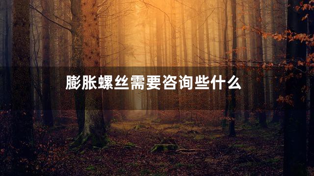 膨胀螺丝需要咨询些什么