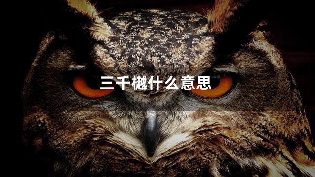 三千樾什么意思