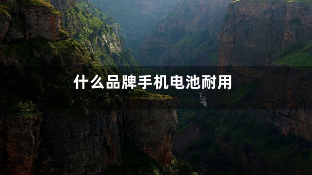 什么品牌手机电池耐用