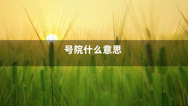 号院什么意思