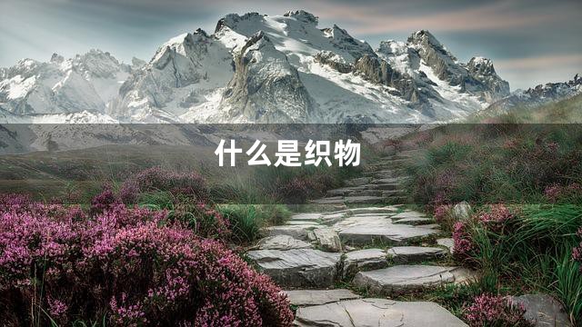 什么是织物