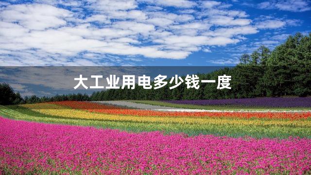 大工业用电多少钱一度