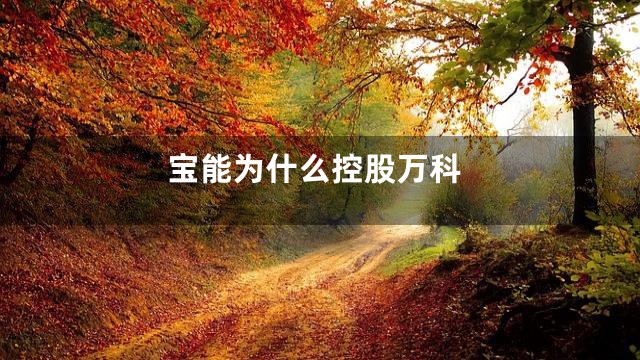 宝能为什么控股万科