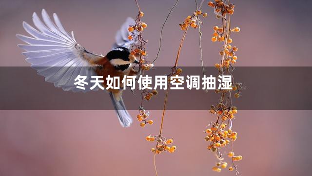 冬天如何使用空调抽湿