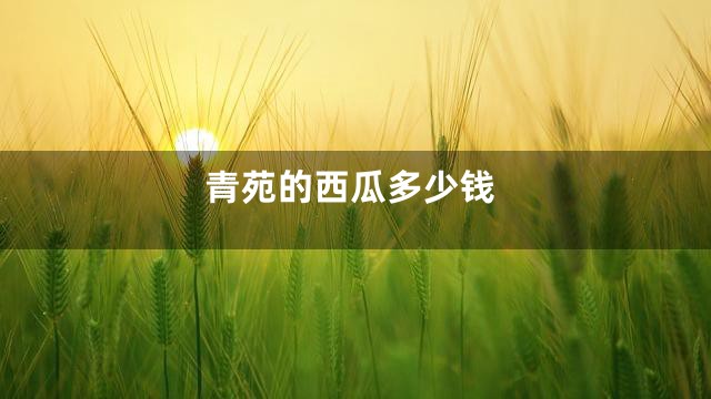 青苑的西瓜多少钱