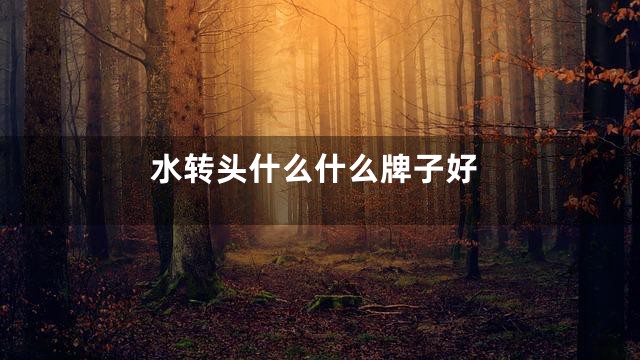 水转头什么什么牌子好