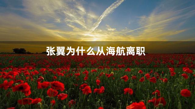 张翼为什么从海航离职