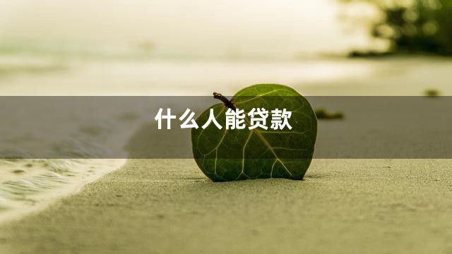 什么人能贷款