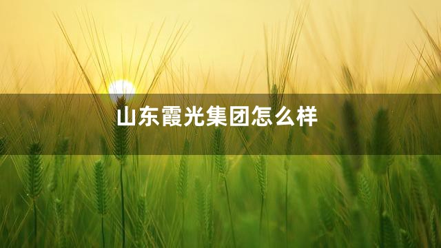 山东霞光集团怎么样