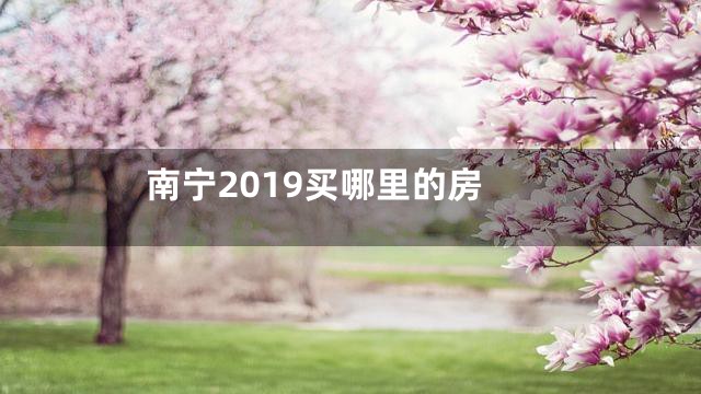 南宁2019买哪里的房