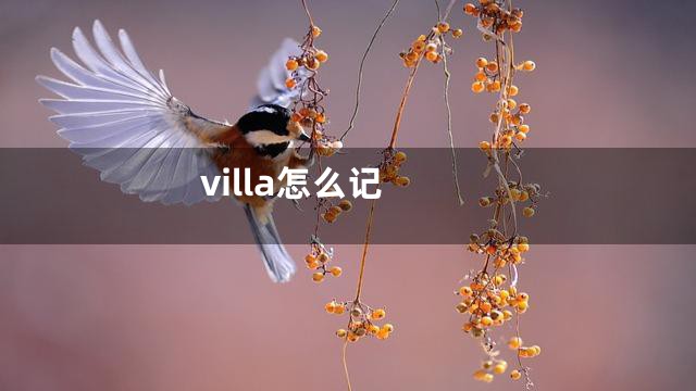 villa怎么记