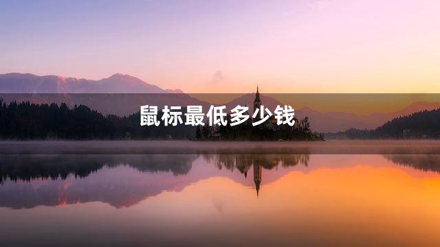 鼠标最低多少钱