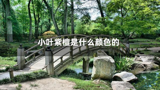 小叶紫檀是什么颜色的