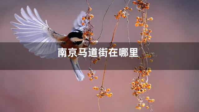 南京马道街在哪里