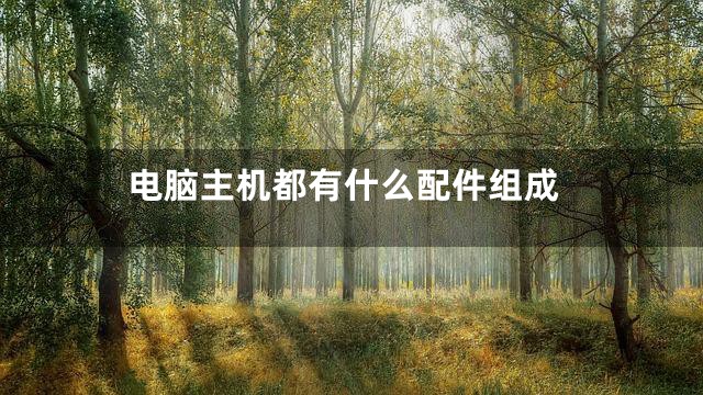 电脑主机都有什么配件组成