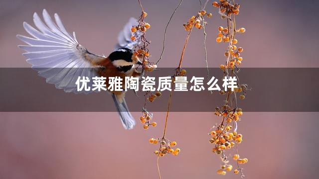 优莱雅陶瓷质量怎么样