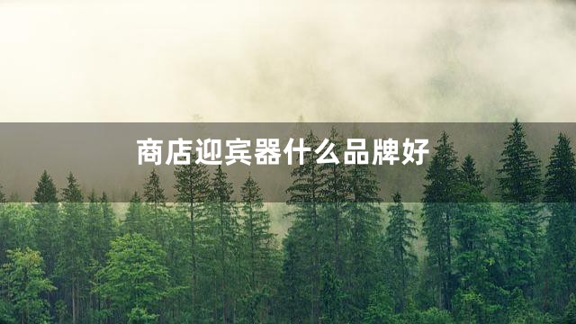 商店迎宾器什么品牌好